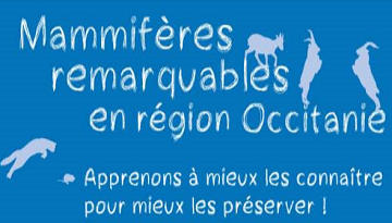 Un nouveau poster sur les mammifères remarquables de la région Occitanie